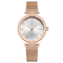 Reloj Femenino Quartz con Cristales y Malla Metálica – Edición Princess