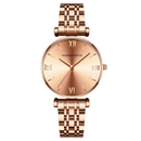Reloj Femenino Elegancy de Acero Inoxidable