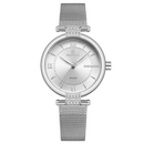 Reloj Femenino Quartz con Cristales y Malla Metálica – Edición Princess