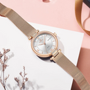 Reloj Femenino Quartz con Cristales y Malla Metálica – Edición Princess